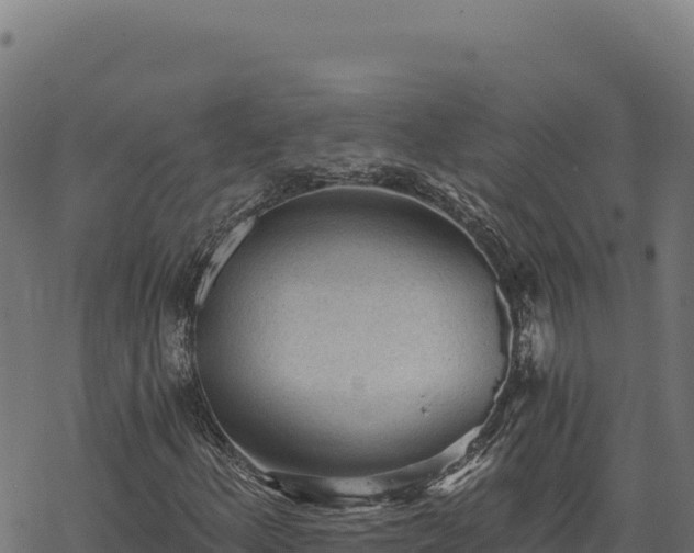 X0000068831156200605121334