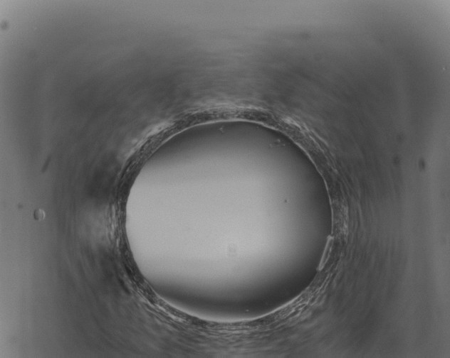 X0000068831157200605121334