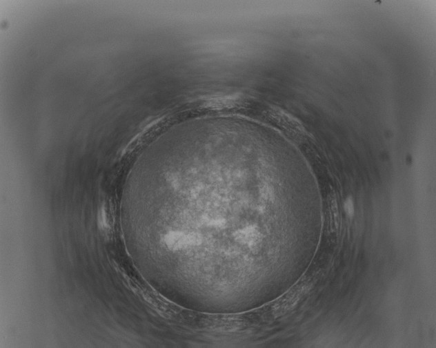 X0000068831158200605121334