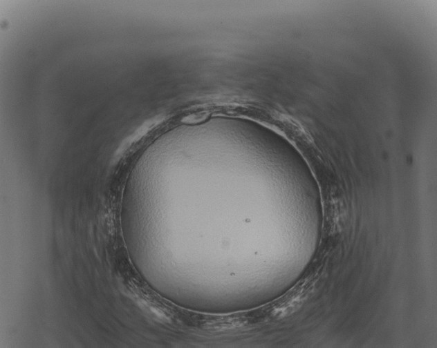 X0000068831159200605121334