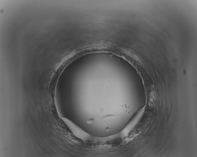 X0000068831160200605121334