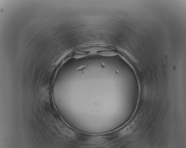 X0000068831162200605121334