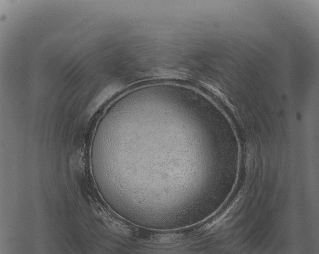 X0000068831163200605121334