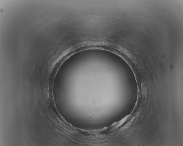 X0000068831165200605121334