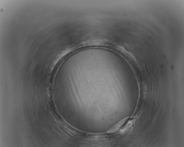 X0000068831166200605121334