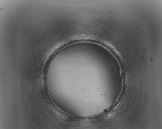 X0000068831167200605121334