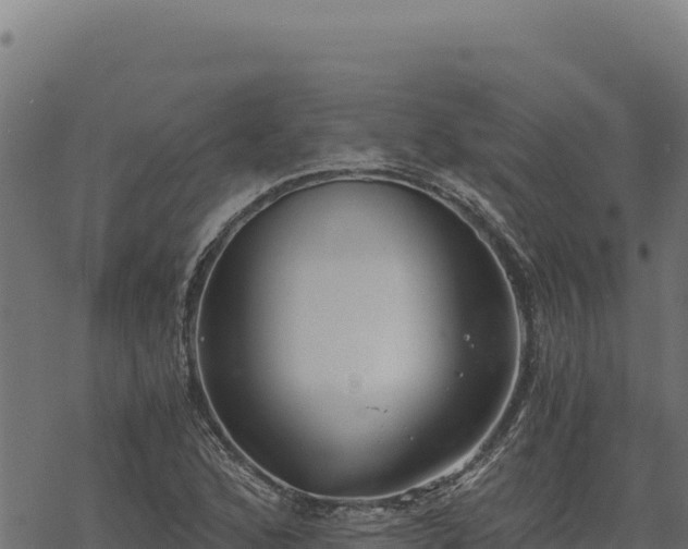 X0000068831168200605121334