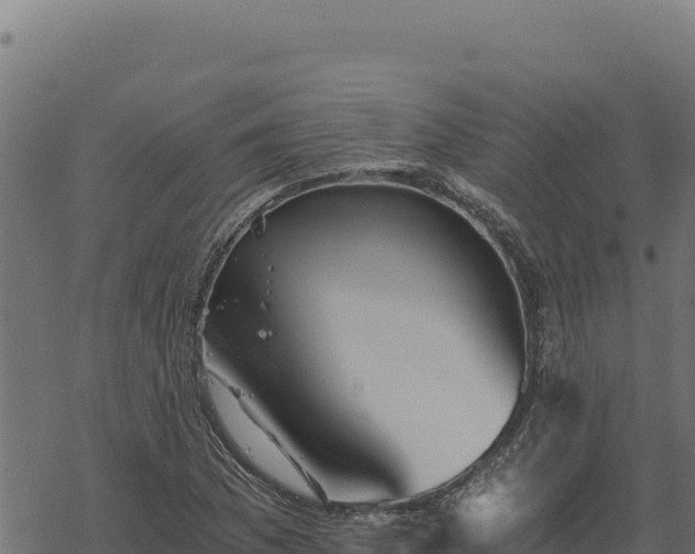 X0000068831169200605121334