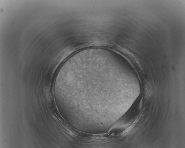 X0000068831170200605121334