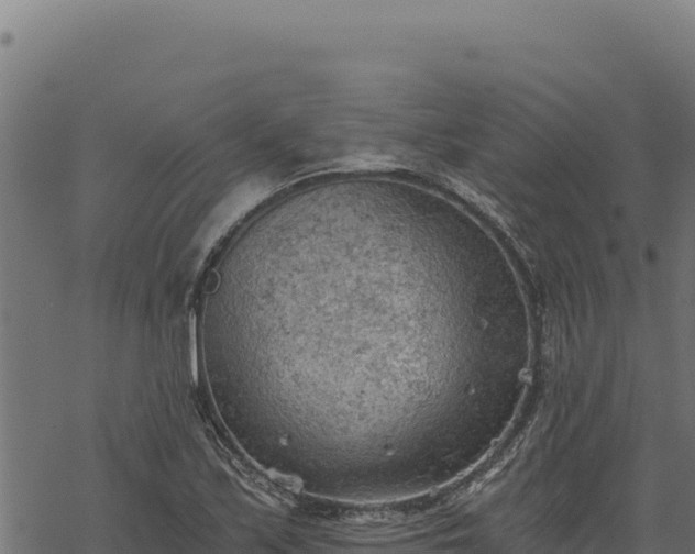 X0000068831171200605121334