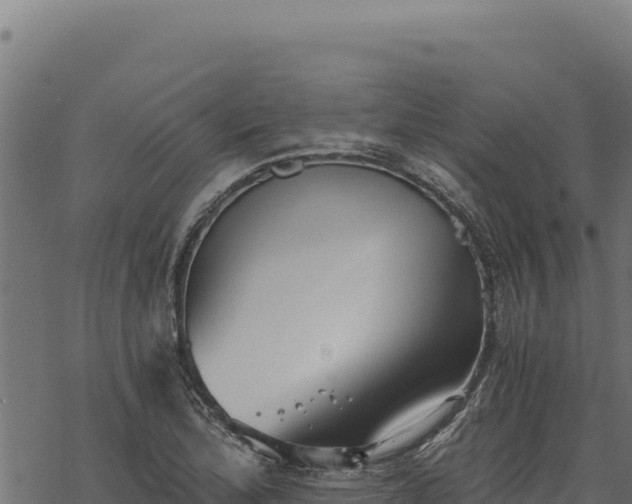 X0000068831172200605121333