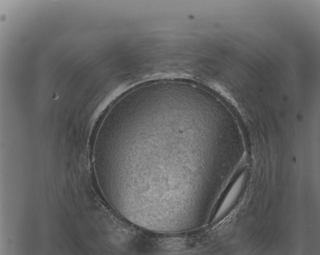 X0000068831173200605121333