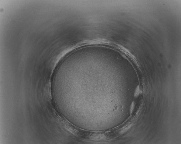 X0000068831174200605121333