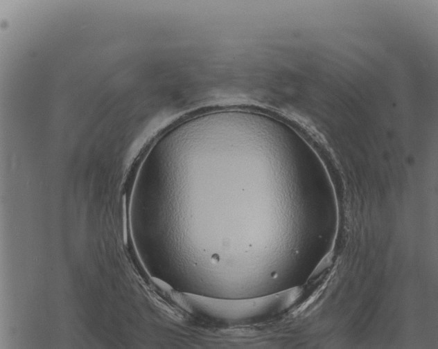 X0000068831175200605121333