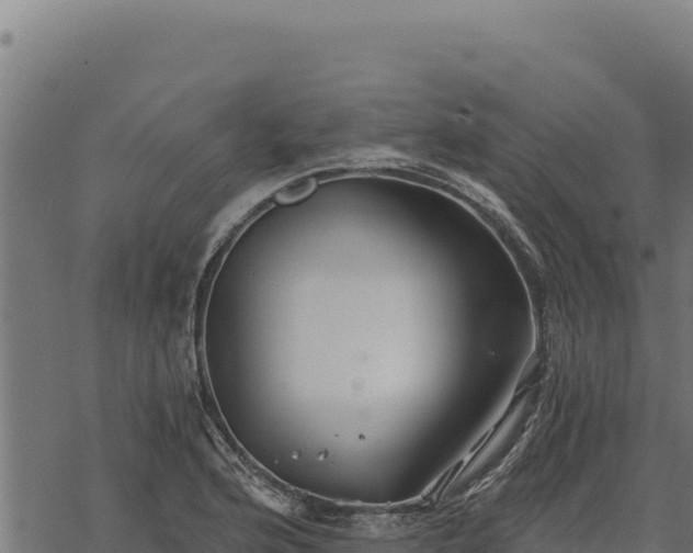 X0000068831176200605121333