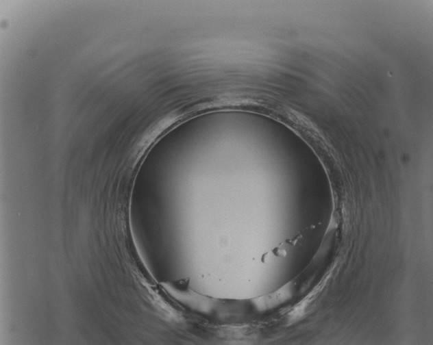 X0000068831177200605121333