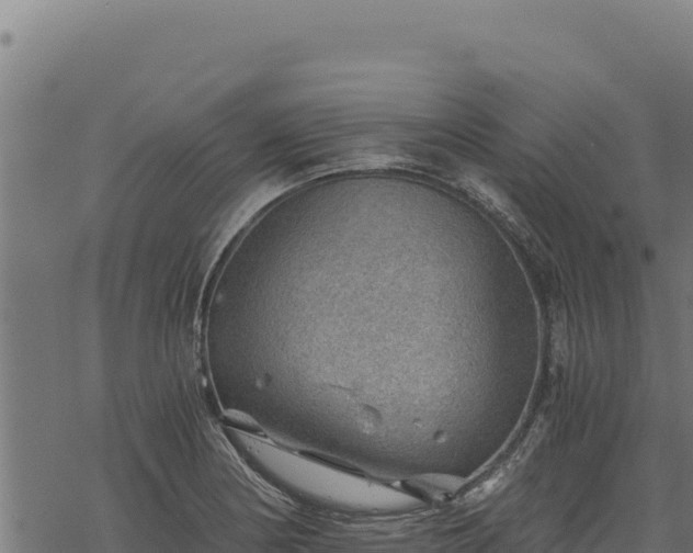 X0000068831178200605121333