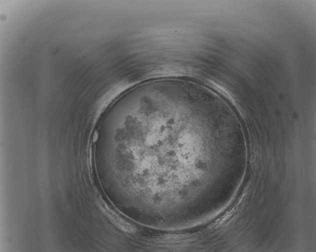 X0000068831179200605121333