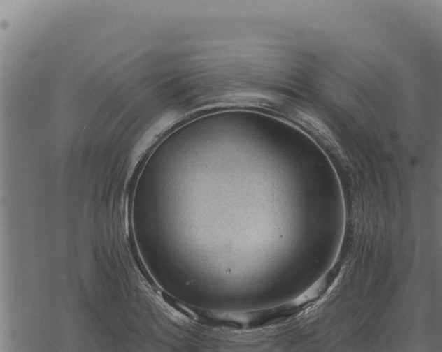 X0000068831180200605121333