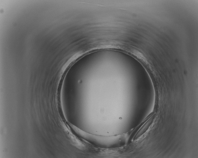 X0000068831181200605121333