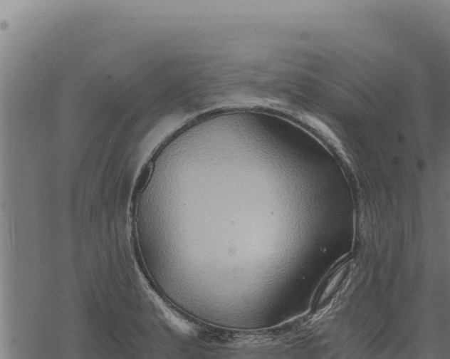 X0000068831183200605121333