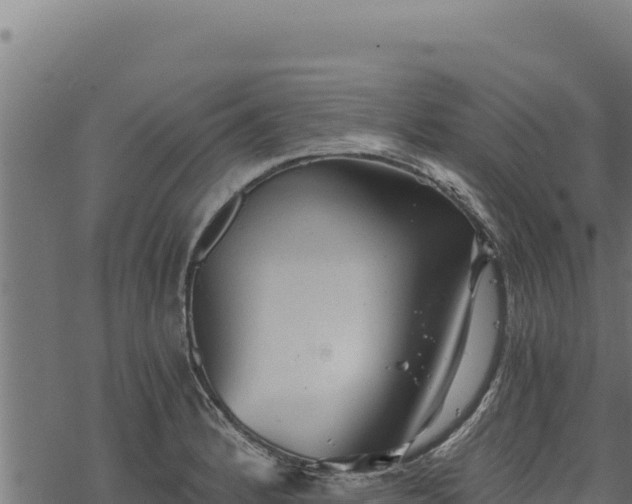 X0000068831184200605121333