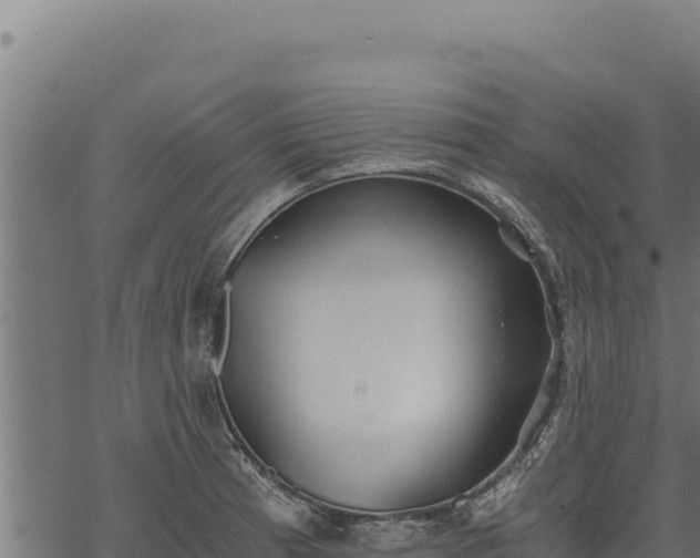 X0000068831185200605121333