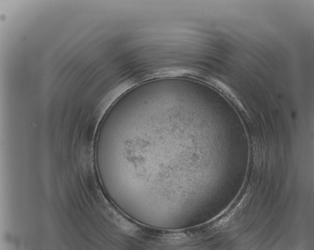 X0000068831186200605121333