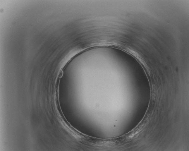 X0000068831187200605121333