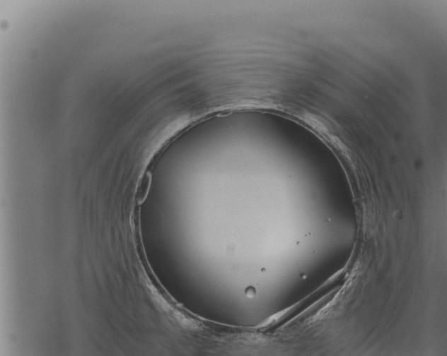 X0000068831189200605121333