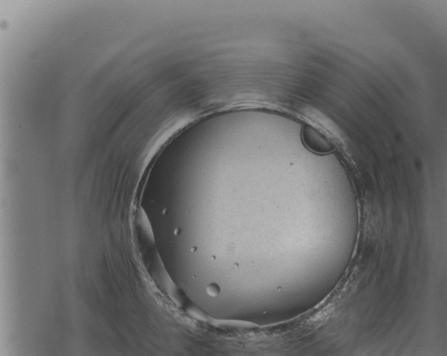 X0000068831190200605121333