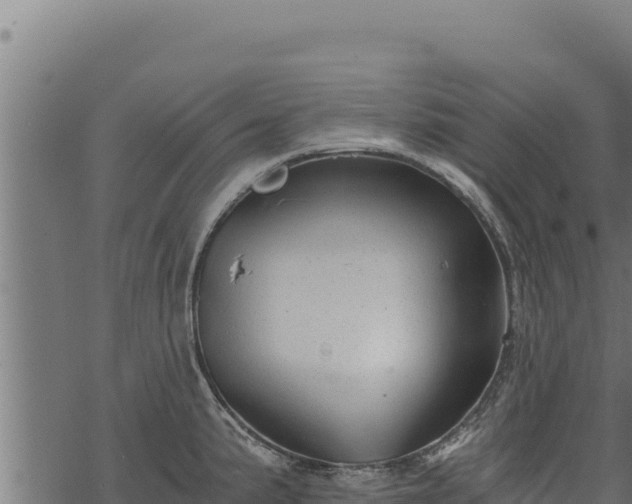 X0000068831191200605121333