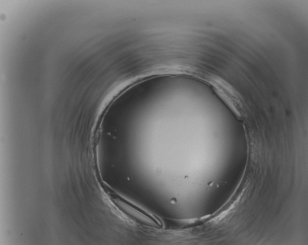 X0000068831192200605121333