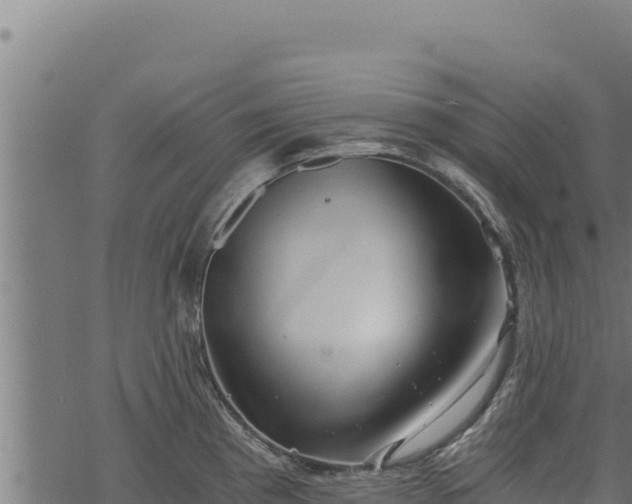 X0000068831193200605121333