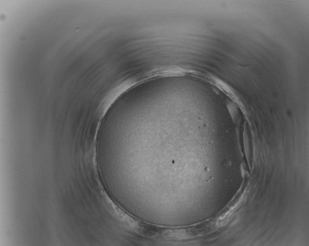 X0000068831194200605121333