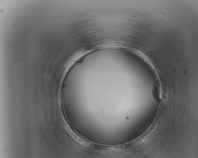 X0000068831195200605121333