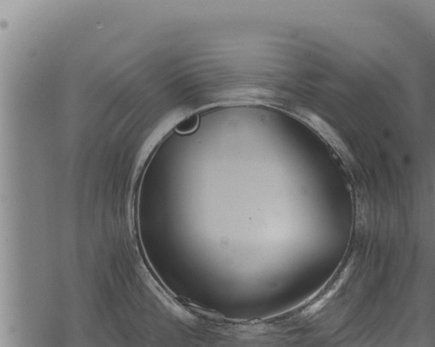 X0000068831196200605121333