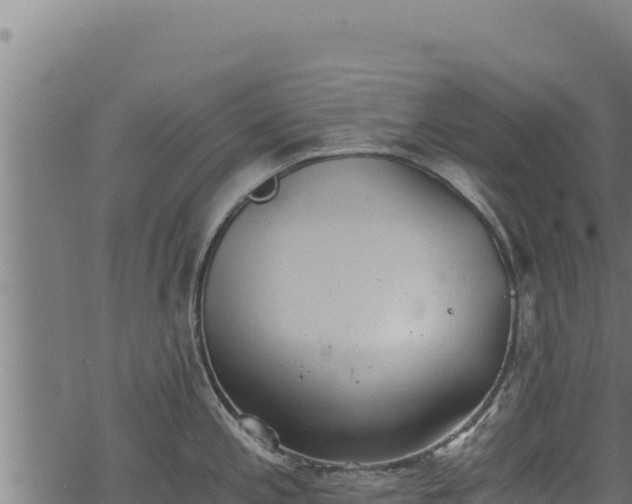 X0000068831197200605121333