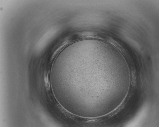 X0000068831198200605121333