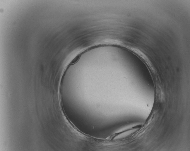 X0000068831199200605121333