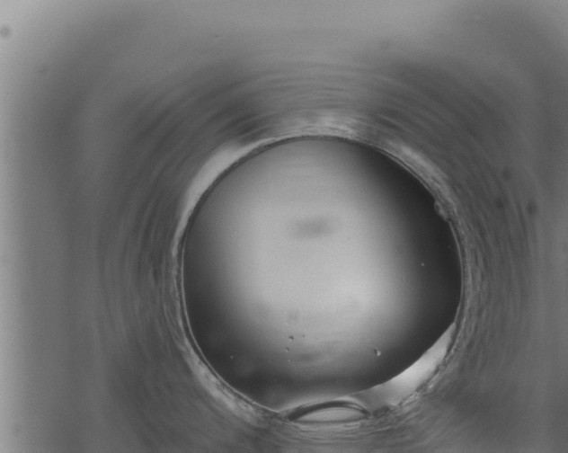 X0000068831200200605121333