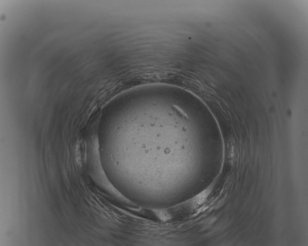 X0000068831202200605121332