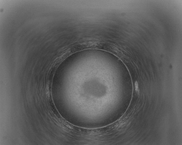 X0000068831203200605121332