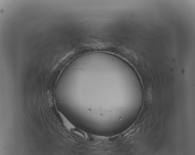 X0000068831205200605121332