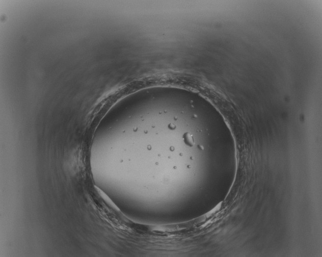 X0000068831206200605121332