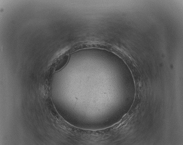 X0000068831207200605121332