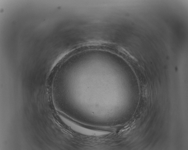 X0000068831208200605121332