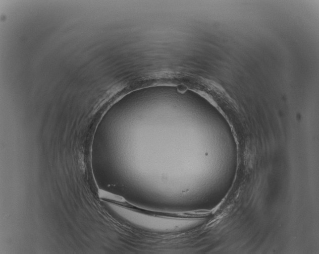 X0000068831209200605121332