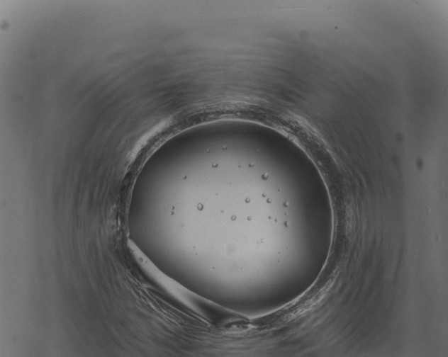 X0000068831210200605121332