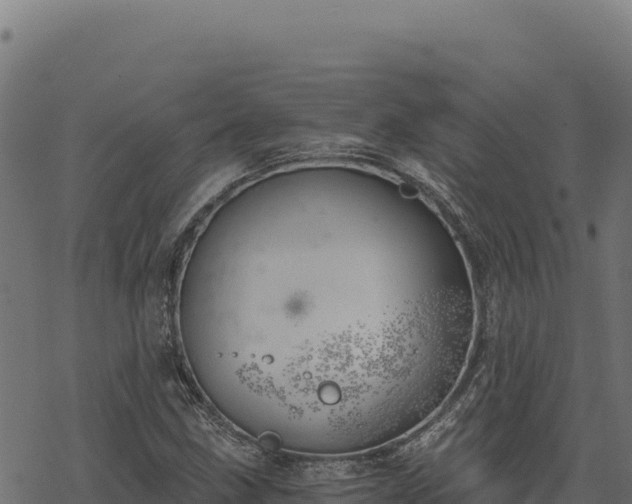 X0000068831211200605121332